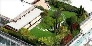 Scopri di più sull'articolo Progetto Expojunior: riqualificazione con verde pensile